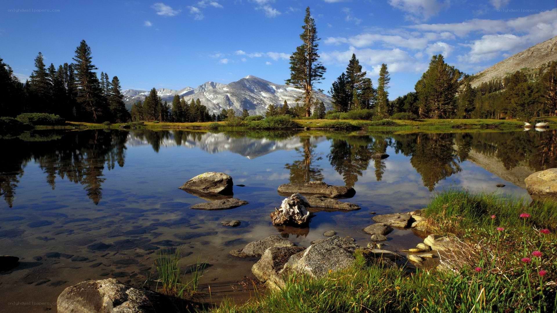 Mountain lake reflection