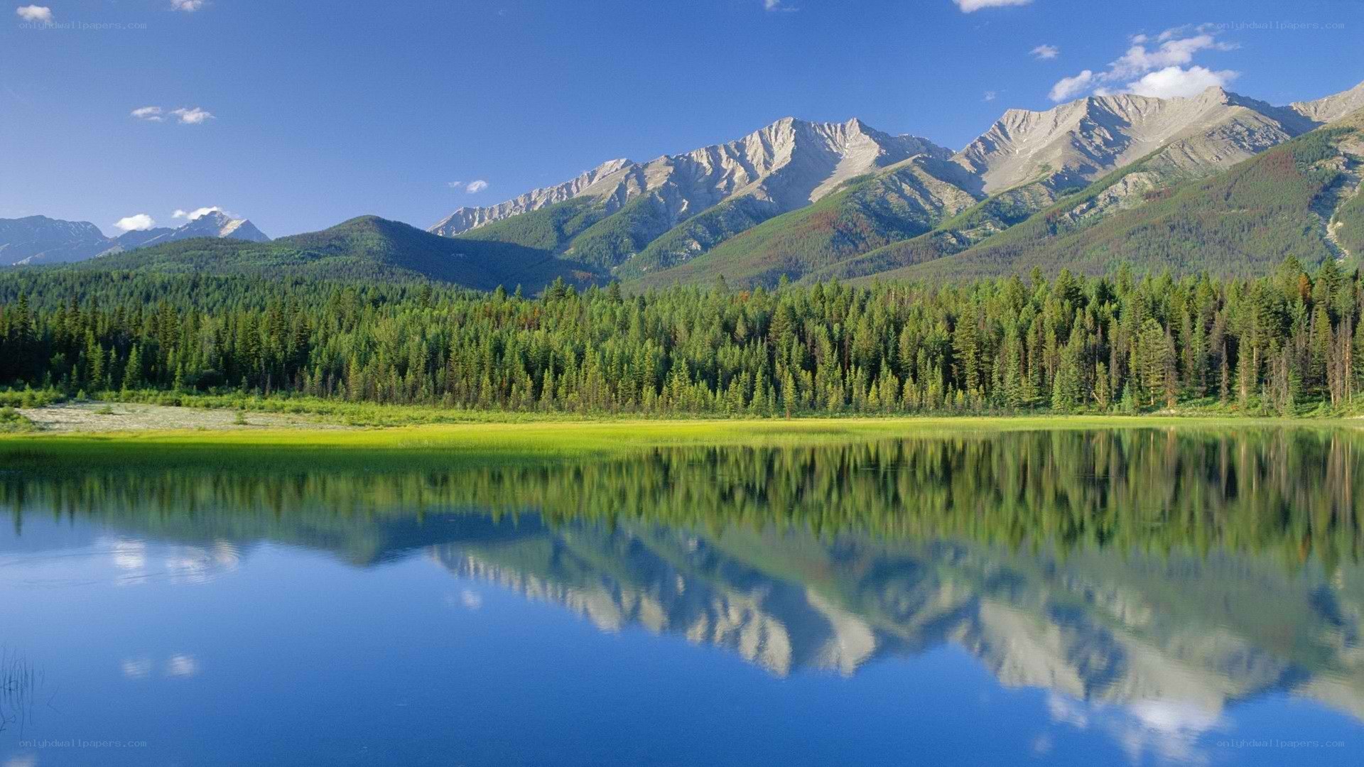 Mountain lake reflection