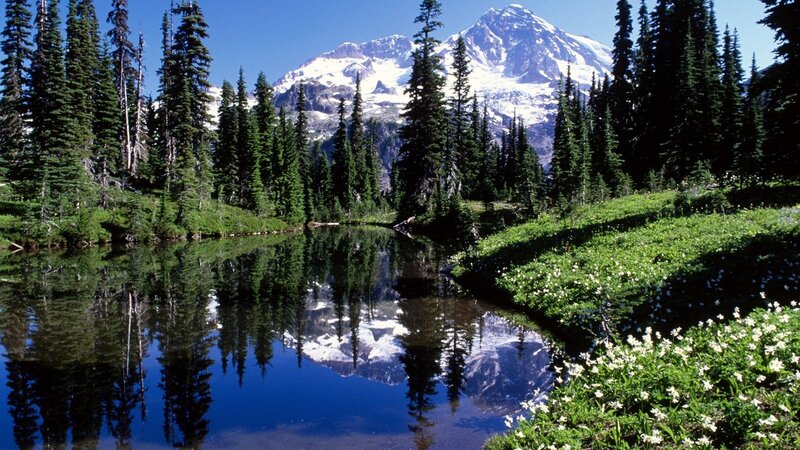 Mountain lake reflection