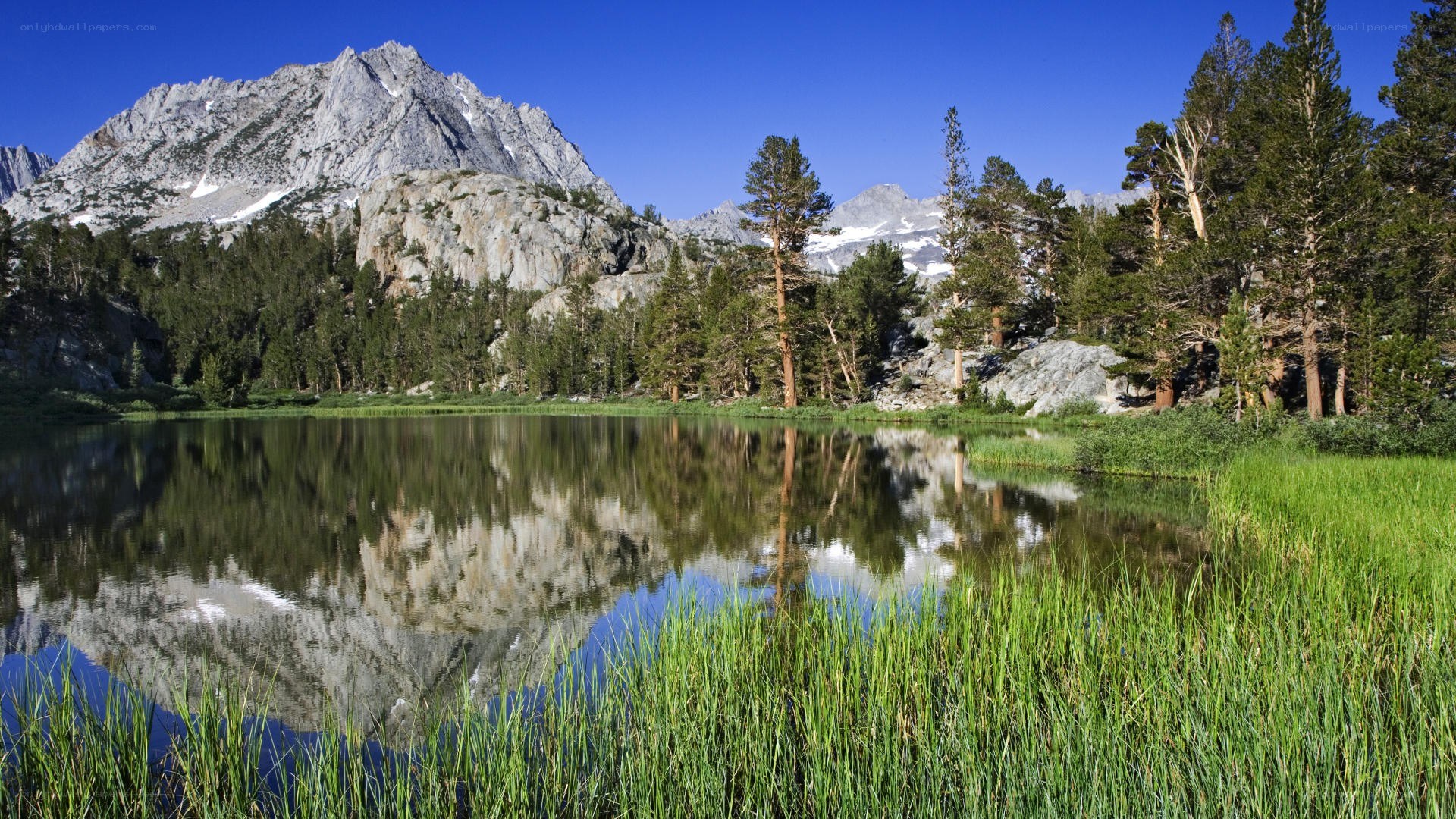 Mountain lake reflection