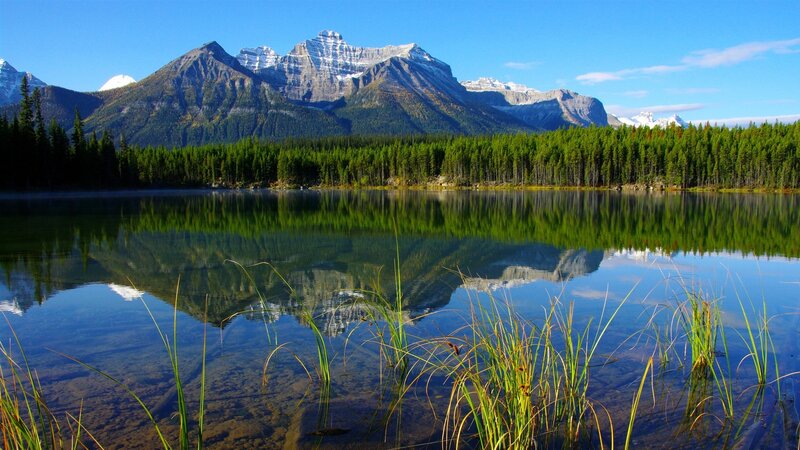 Mountain lake reflection