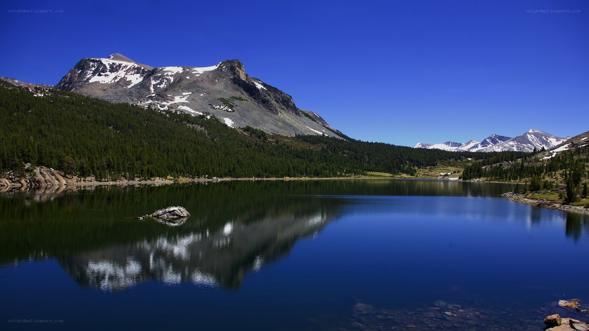 Mountain lake reflection