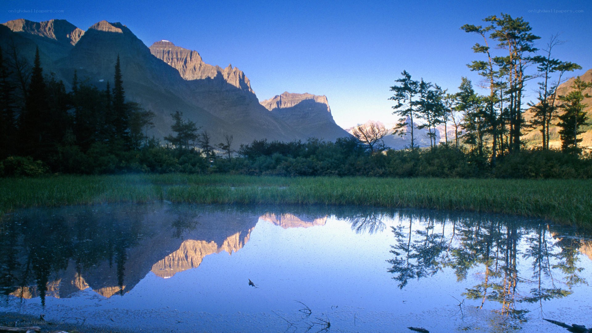 Mountain lake reflection at dawn