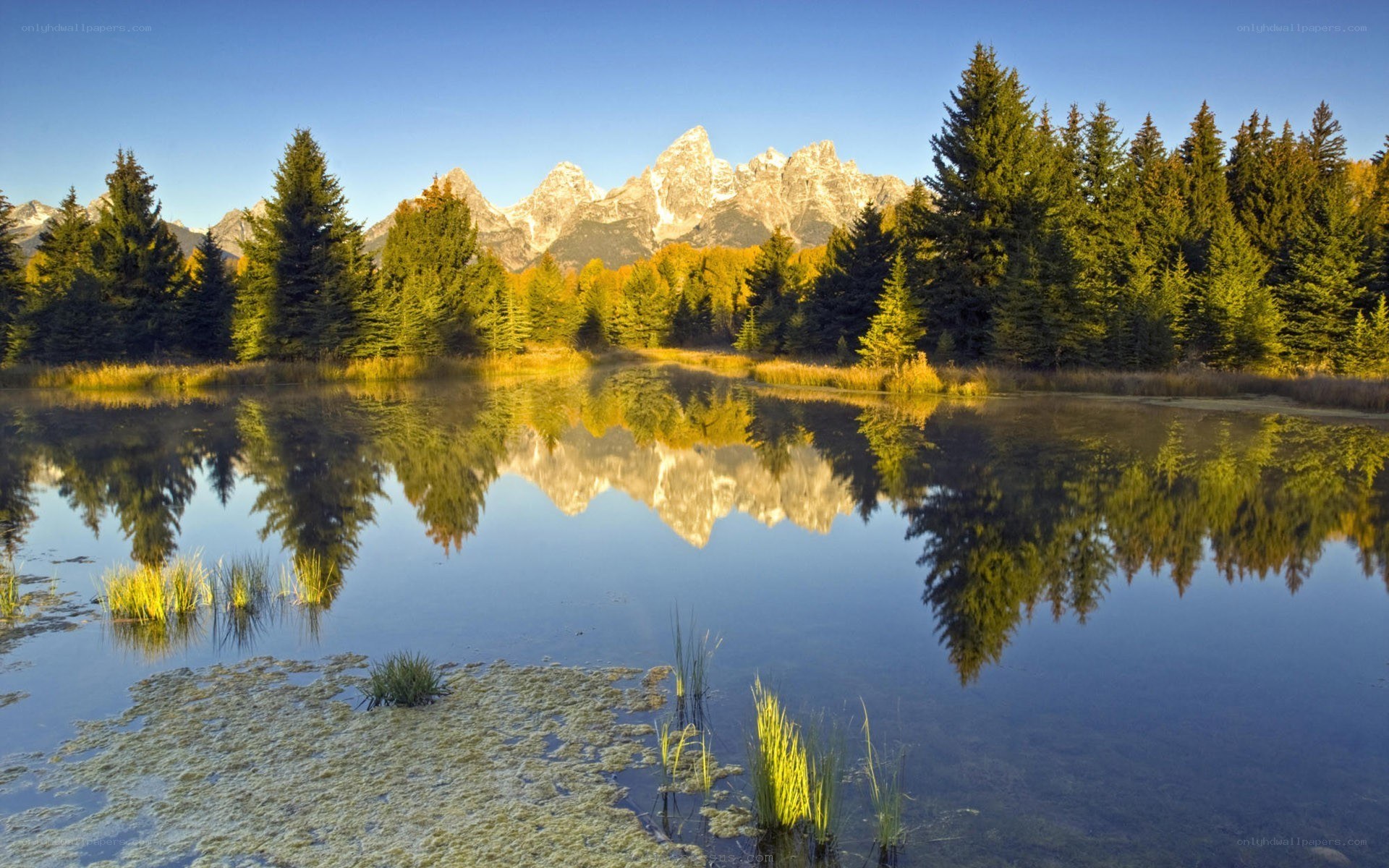 Mountain lake reflection at sunrise
