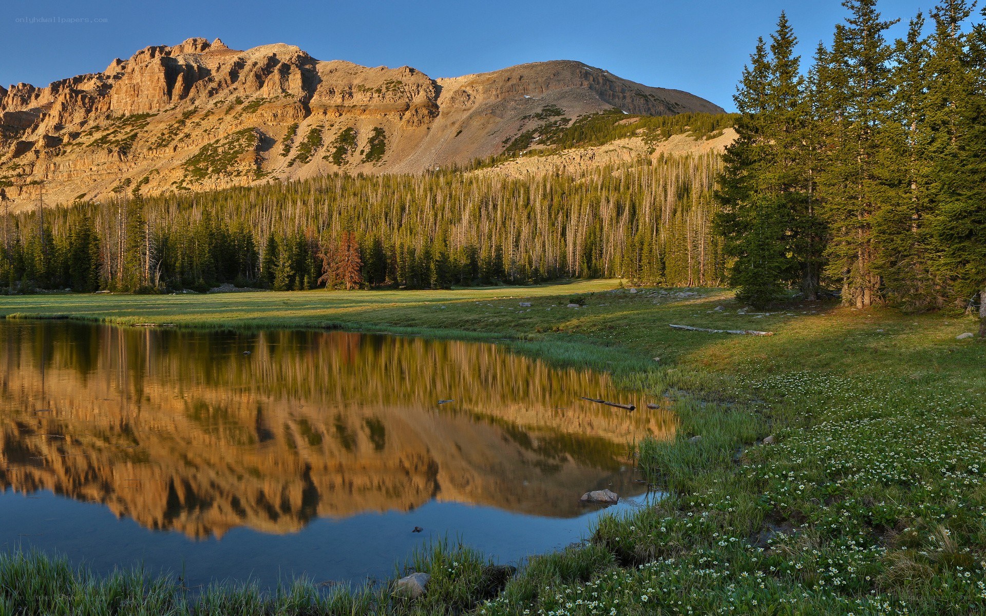 Mountain lake reflection at sunrise