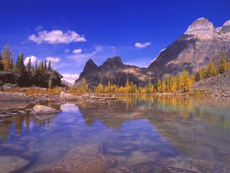 Mountain Lake Reflection — Autumn, Brown