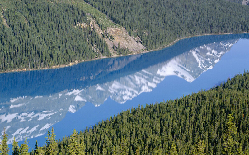 Mountain Lake Reflection — Blue, Serene, Afternoon, Photograph, Forest, Green, White