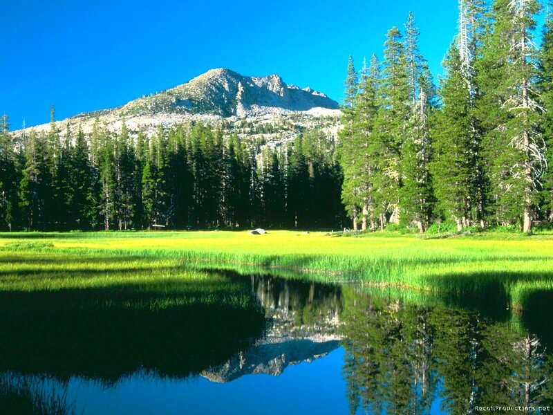 Mountain Lake Reflection — Blue, Serene, Afternoon, Photograph, Forest, Meadow, Green