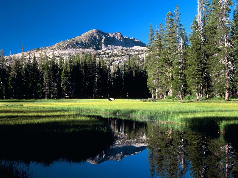 Mountain Lake Reflection — Blue, Serene, Afternoon, Photograph, Forest, Meadow