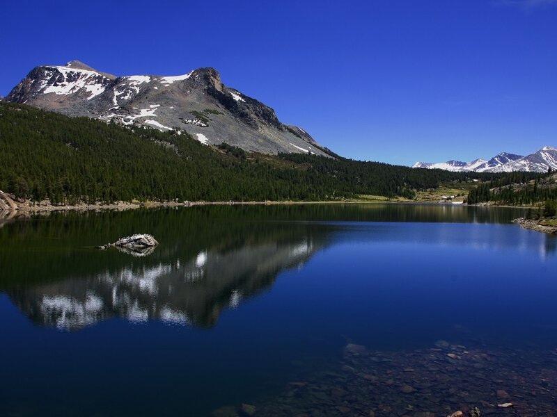 Mountain Lake Reflection — Blue, Serene, Afternoon, Photograph, Forest, Rock, Green, White