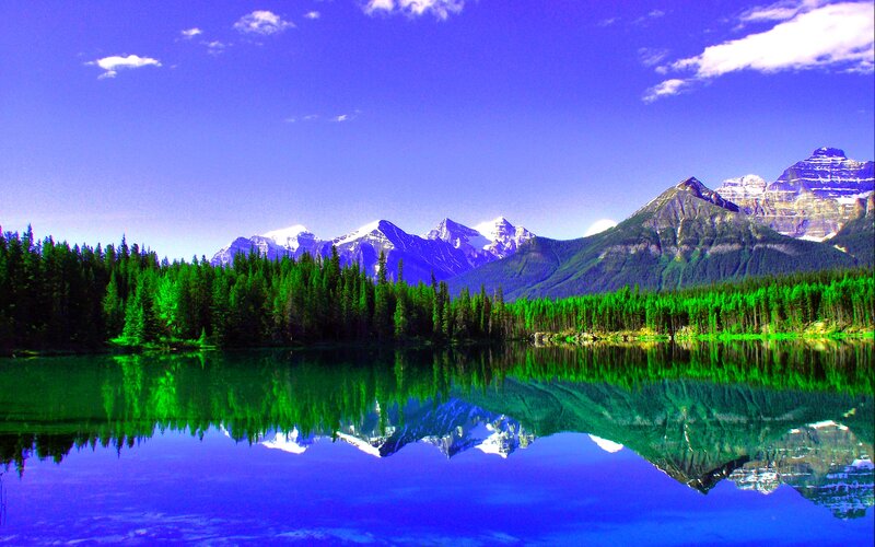 Mountain Lake Reflection — Blue, Serene, Afternoon, Photograph, Forest, Snow-capped Mountains