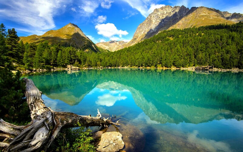 Mountain Lake Reflection — Blue, Serene, Afternoon, Photograph, Mountains, Forest, Driftwood