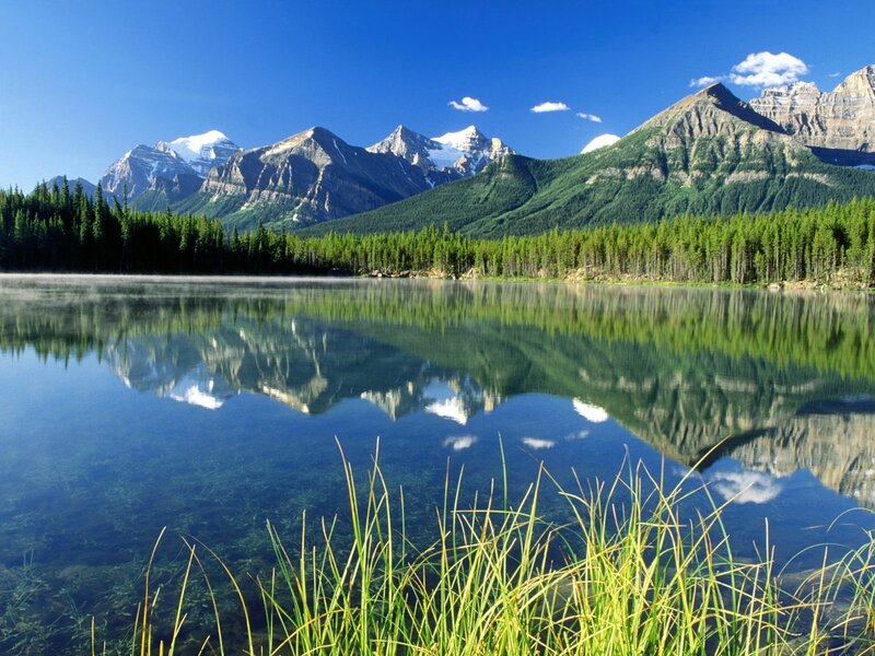 Mountain Lake Reflection — Blue, Serene, Afternoon, Photograph, Mountains, Forest, Grass, Green