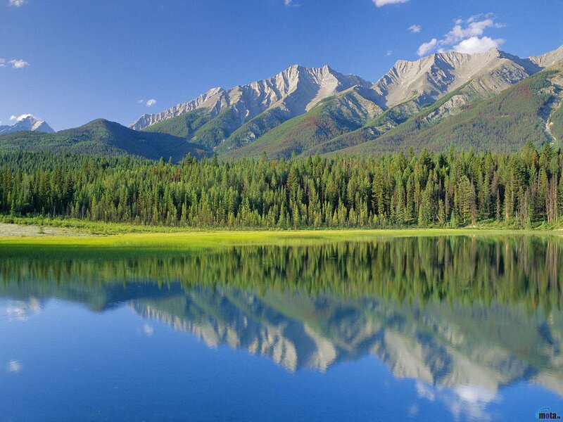 Mountain Lake Reflection — Blue, Serene, Afternoon, Photograph, Mountains, Forest, Green, Gray