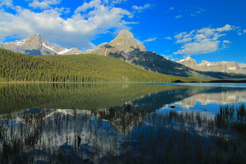 Mountain Lake Reflection — Blue, Serene, Afternoon, Photograph, Mountains, Forest, Sky, Reeds