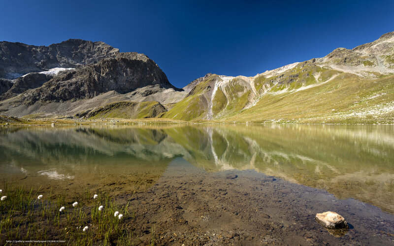 Mountain Lake Reflection — Blue, Serene, Afternoon, Photograph, Mountains, Sky, Flowers