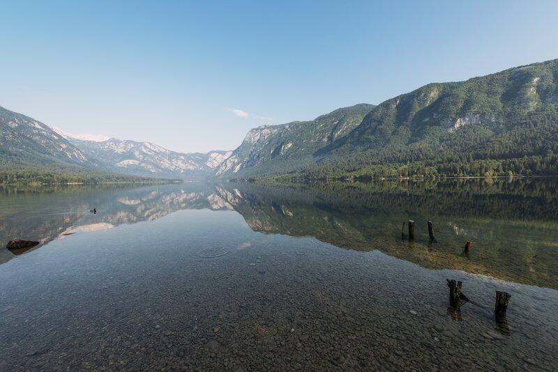 Mountain Lake Reflection — Blue, Serene, Afternoon, Photograph, Mountains, Trees, Duck