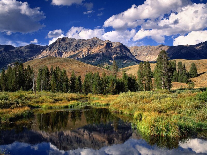 Mountain Lake Reflection — Blue, Serene, Afternoon, Photograph, Mountains, Trees, Pond, Green