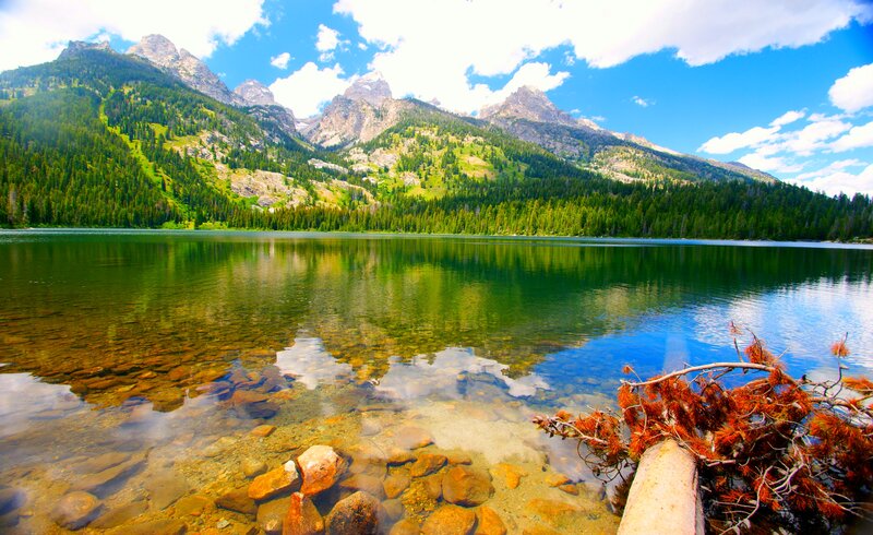 Mountain Lake Reflection — Blue, Serene, Afternoon, Photograph, Mountains, Trees, Rocks, Branch