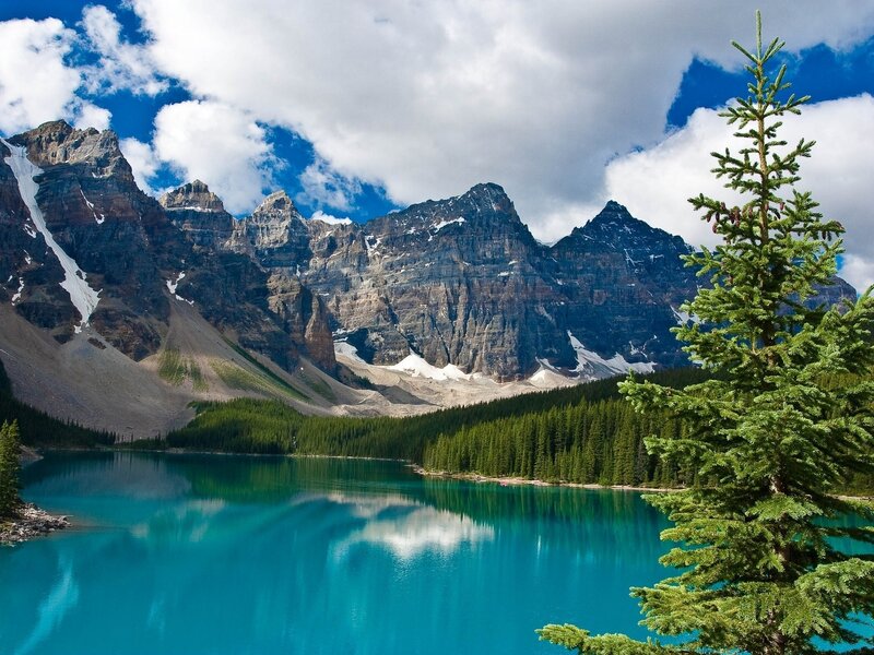 Mountain Lake Reflection — Blue, Serene, Afternoon, Photograph, Pine Tree