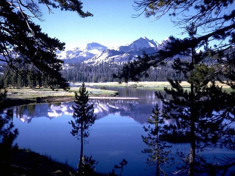 Mountain Lake Reflection — Blue, Serene, Afternoon, Photograph, Pine Trees, Snow-capped Mountains, River