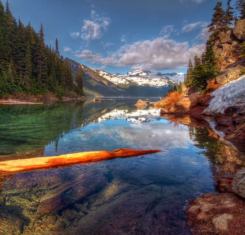 Mountain Lake Reflection — Blue, Serene, Afternoon, Photograph, Snow-capped Mountains, Evergreen Trees, Fallen Log, Green
