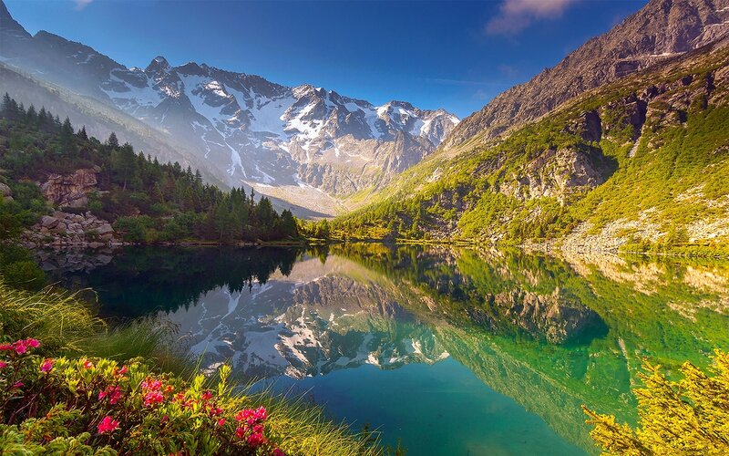 Mountain Lake Reflection — Blue, Serene, Afternoon, Photograph, Snow-capped Mountains, Forest, Flowers
