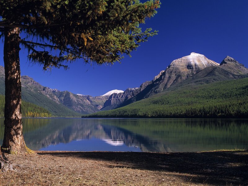 Mountain Lake Reflection — Blue, Serene, Afternoon, Photograph, Tree, Mountains, Forest, Green