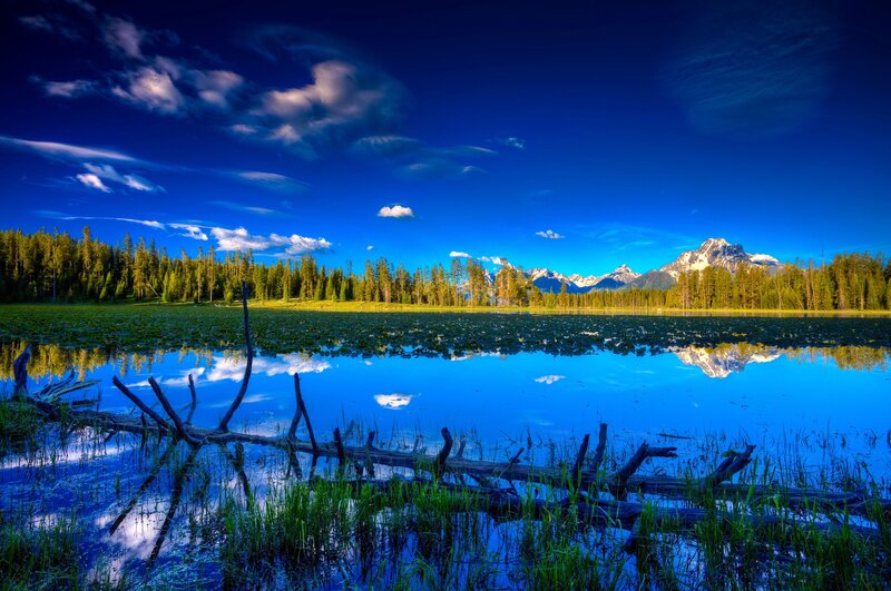 Mountain Lake Reflection — Blue, Serene, Afternoon, Photograph, Trees, Clouds, Driftwood, Green, White