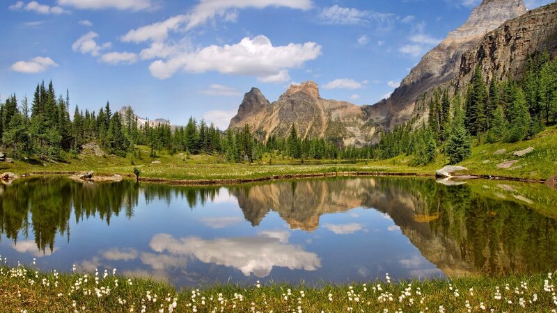 Mountain Lake Reflection — Blue, Serene, Afternoon, Photograph, Trees, Clouds, Flowers, Green