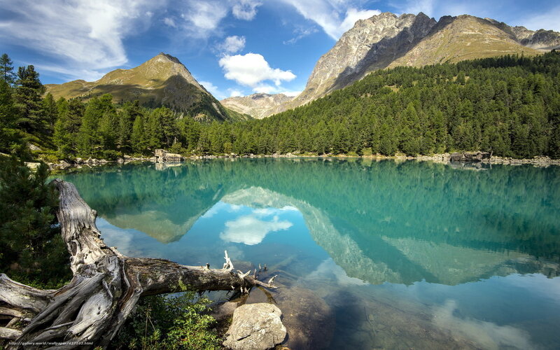 Mountain Lake Reflection — Blue, Serene, Afternoon, Photograph, Trees, Mountains, Driftwood
