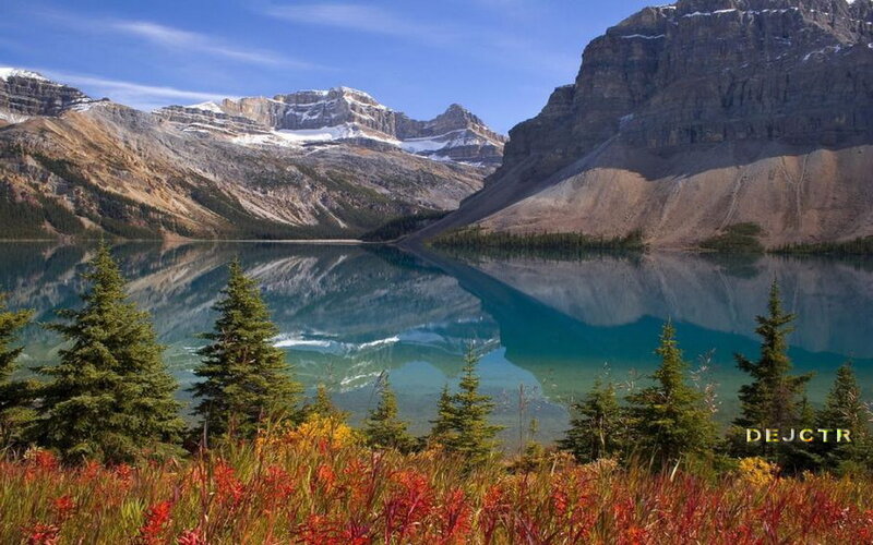 Mountain Lake Reflection — Blue, Serene, Afternoon, Photograph, Trees, Mountains, Flowers