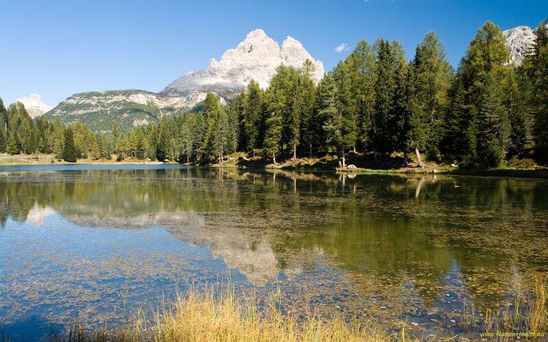 Mountain Lake Reflection — Blue, Serene, Afternoon, Photograph, Trees, Mountains, Green, Brown