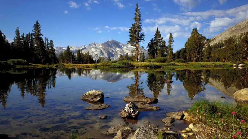 Mountain Lake Reflection — Blue, Serene, Afternoon, Photograph, Trees, Mountains, Rocks, Flowers