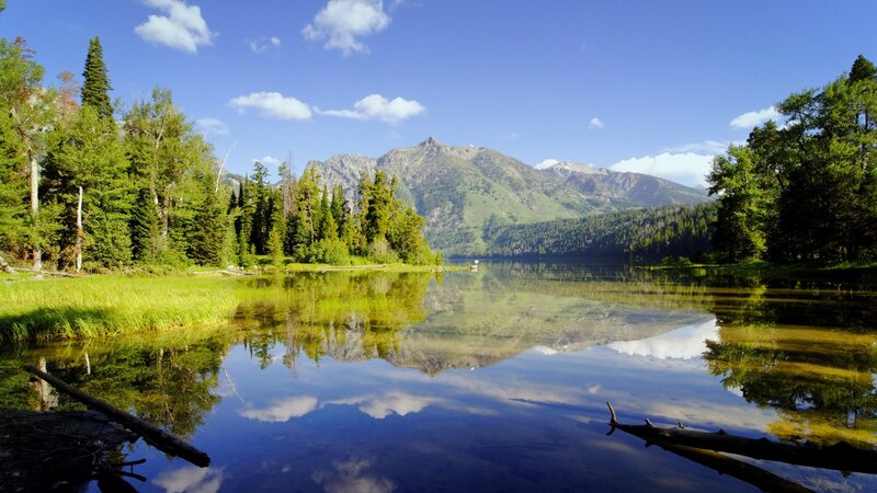 Mountain Lake Reflection — Blue, Serene, Afternoon, Photograph, Trees, Mountains, Sky, Driftwood, Green, Brown
