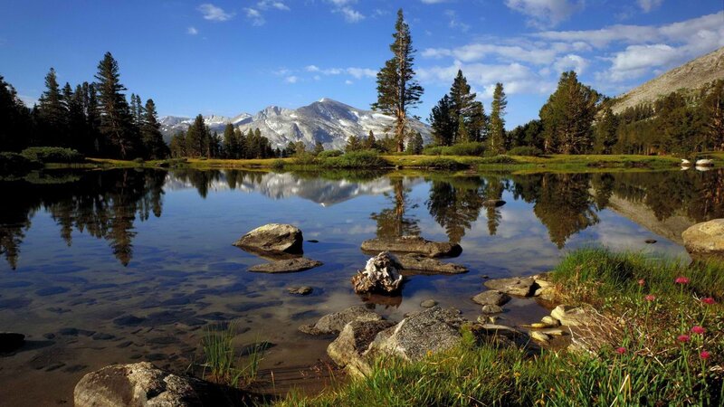Mountain Lake Reflection — Blue, Serene, Afternoon, Photograph, Trees, Rocks, Flowers