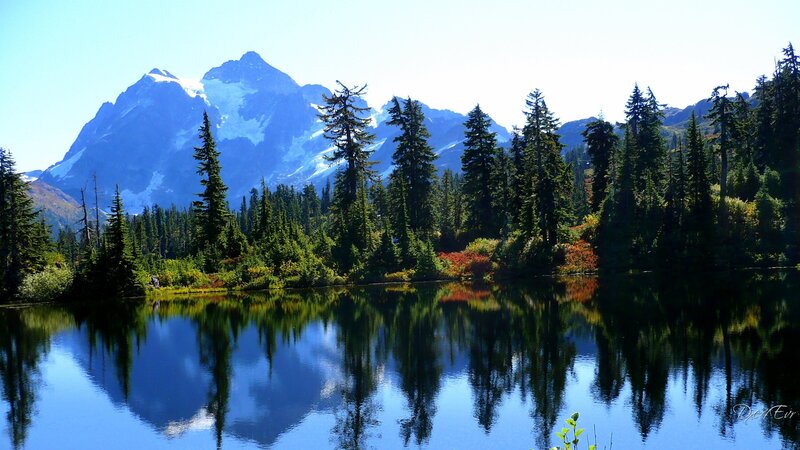 Mountain Lake Reflection — Blue, Serene, Afternoon, Photograph, Trees, Snow-capped Mountain, Forest