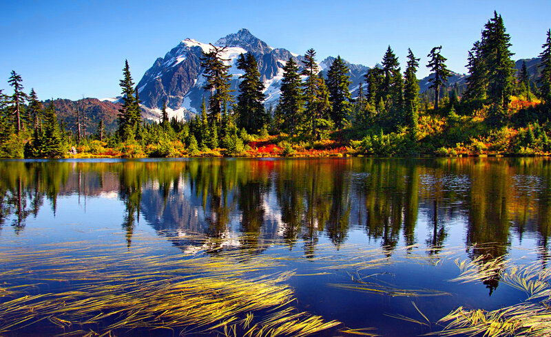 Mountain Lake Reflection — Blue, Serene, Afternoon, Photograph, Trees, Snow-capped Mountain