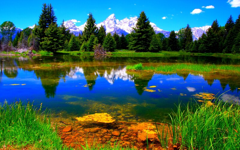 Mountain Lake Reflection — Blue, Serene, Afternoon, Photograph, Trees, Snow-capped Mountains