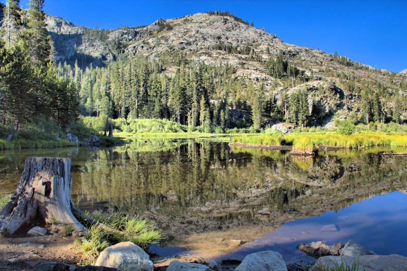 Mountain Lake Reflection — Blue, Serene, Afternoon, Photograph, Trees, Stump