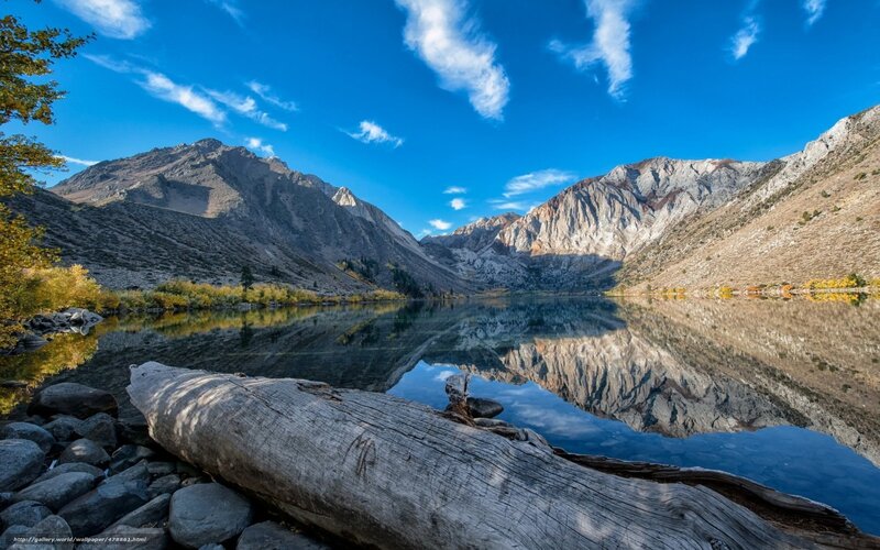 Mountain Lake Reflection — Blue, Serene, Autumn, Photograph, Mountains, Driftwood, Trees