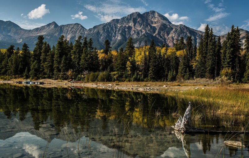 Mountain Lake Reflection — Blue, Serene, Autumn, Photograph, Trees, Mountains, Driftwood