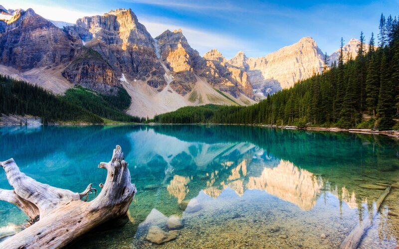 Mountain Lake Reflection — Blue, Serene, Morning, Photograph, Driftwood, Forest, Mountains