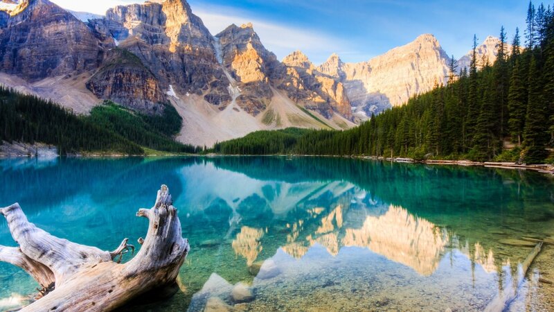 Mountain Lake Reflection — Blue, Serene, Morning, Photograph, Driftwood, Forest