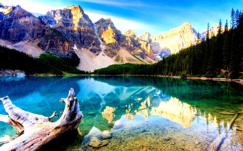Mountain Lake Reflection — Blue, Serene, Morning, Photograph, Driftwood