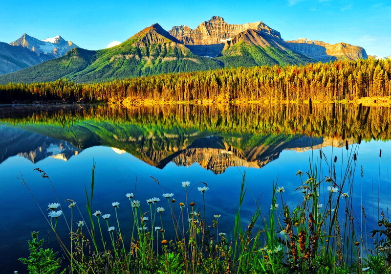 Mountain Lake Reflection — Blue, Serene, Morning, Photograph, Forest, Flowers, Mountains