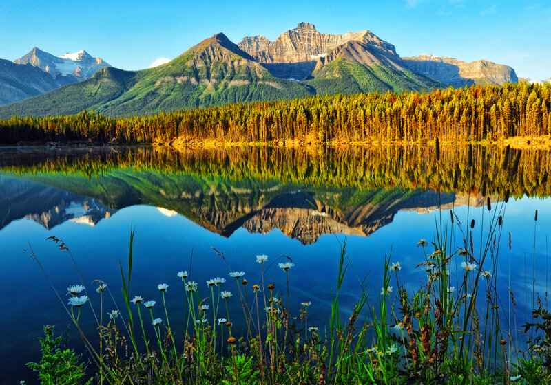 Mountain Lake Reflection — Blue, Serene, Morning, Photograph, Forest, Flowers