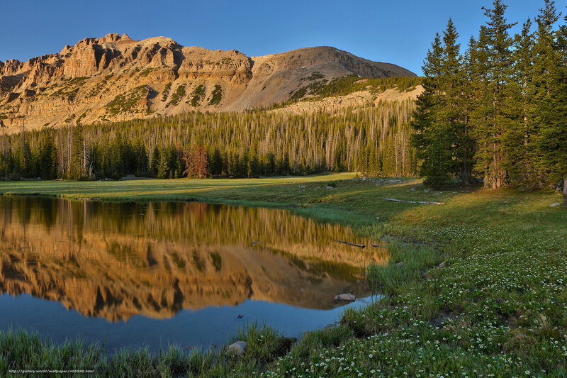 Mountain Lake Reflection — Blue, Serene, Morning, Photograph, Forest, Mountains, Grass