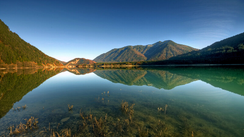 Mountain Lake Reflection — Blue, Serene, Morning, Photograph, Mountains, Forest, Plants