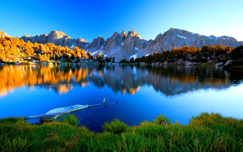 Mountain Lake Reflection — Blue, Serene, Morning, Photograph, Mountains, Trees, Driftwood